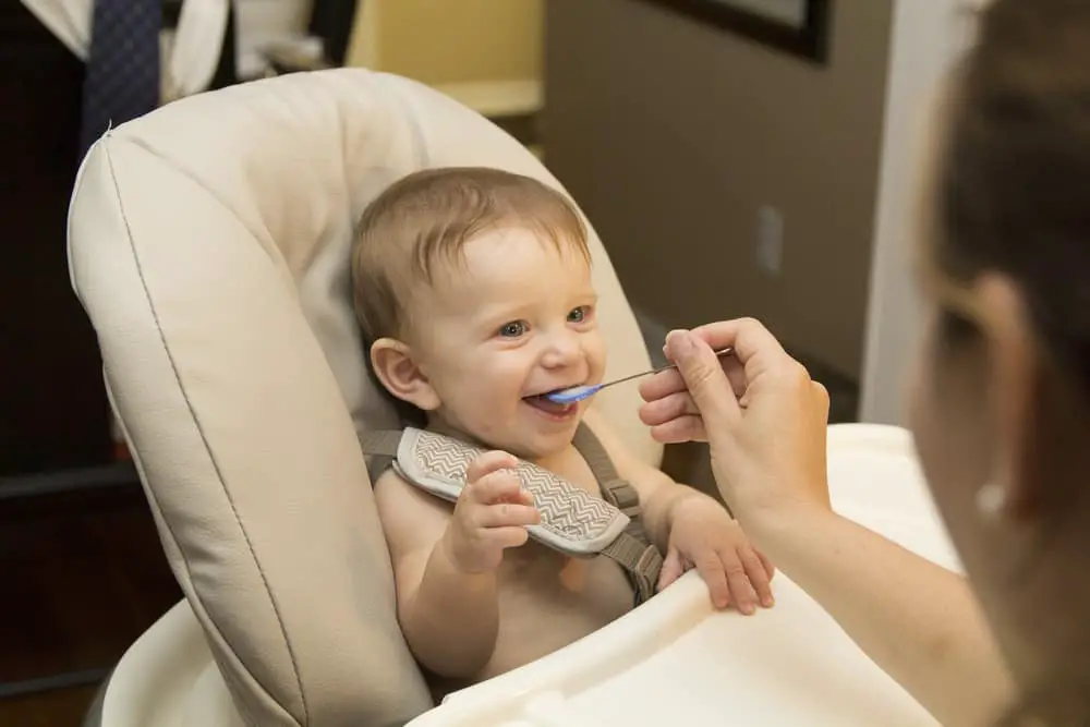 월령별 아기 이유식 시기와 식단
